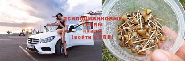 бошки Балахна